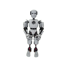 Tam Gövde Bionic Robot Seti