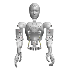 Bionic Yarım Gövde Robot